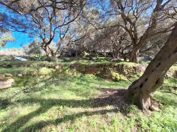 Land In Corfu, Greece