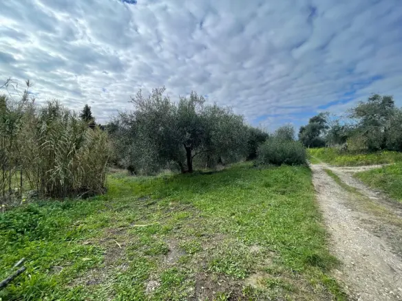Land Of 7754 M² In Corfu