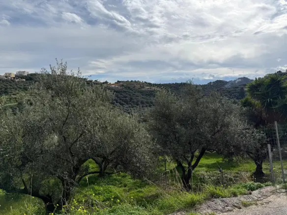 Land Of 1060 M² In Crete