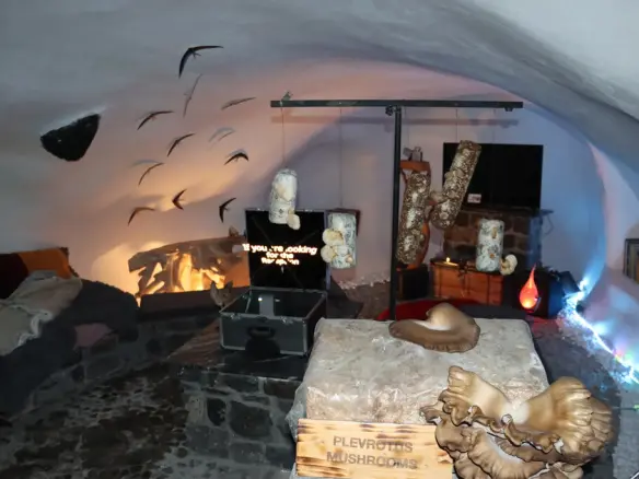 Commercial Property Of 650 M² In Santorini