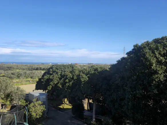 Complex Of 240 M² In Crete