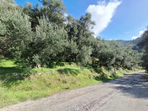 Land In Corfu, Greece