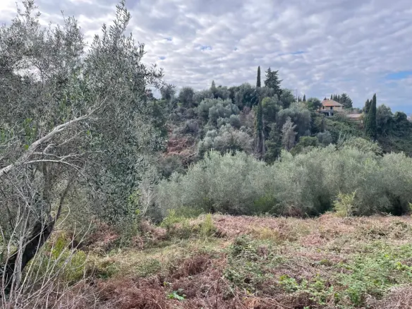 Land Of 7754 M² In Corfu