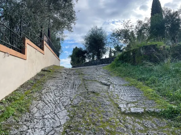 Land Of 7754 M² In Corfu