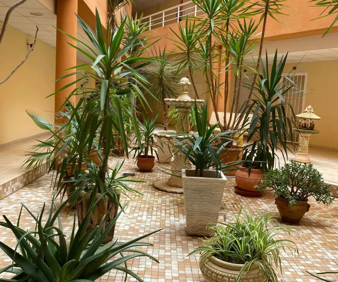 2-bedroom Apartment In San Miguel De Salinas, Spain (75 M²)