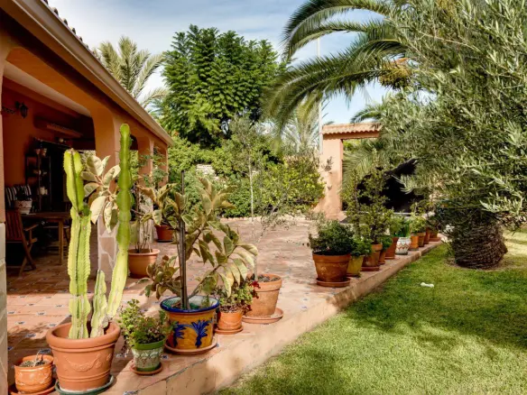 5-bedroom Villa In Torrevieja, Spain (568 M²)