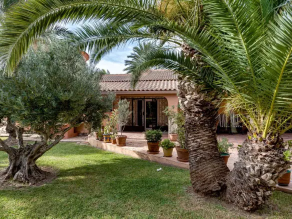 5-bedroom Villa In Torrevieja, Spain (568 M²)