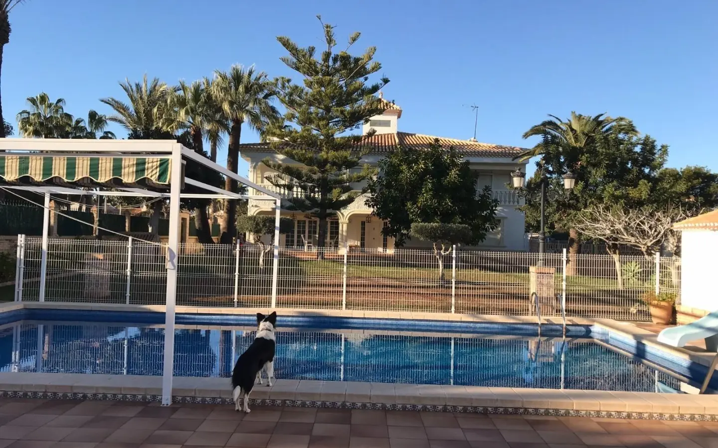 7-bedroom Villa In Cabo Roig, Spain (500 M²)