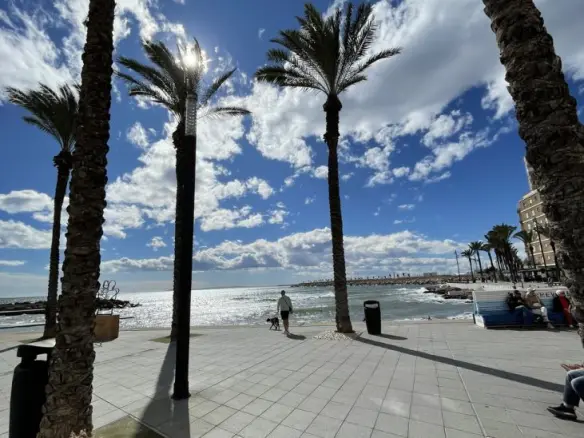 3-bedroom Penthouse In Torrevieja, Spain