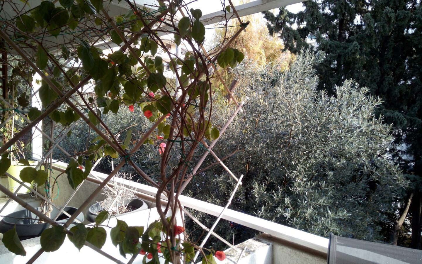 Apartment Of 192 M² With 1977 Construction In Kifisia