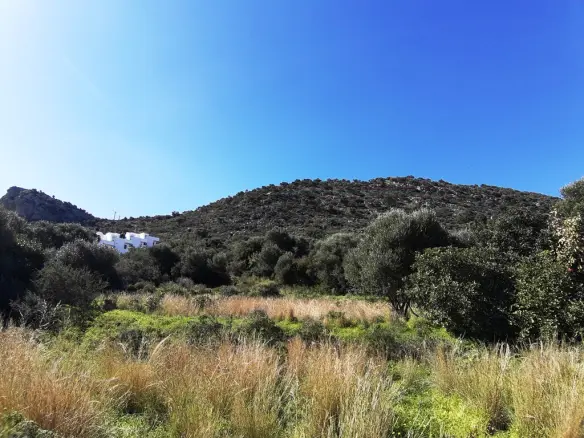 Land In Mallia, Greece