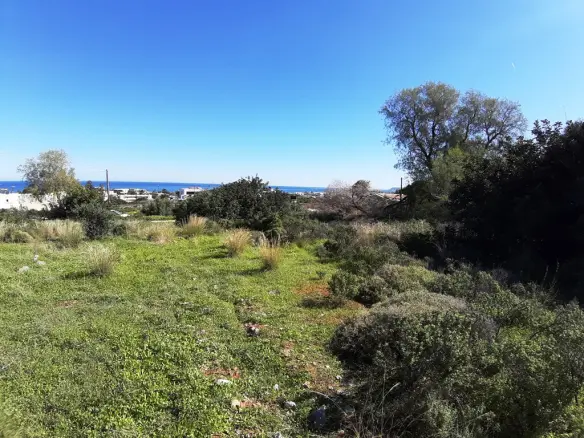 Land In Mallia, Greece