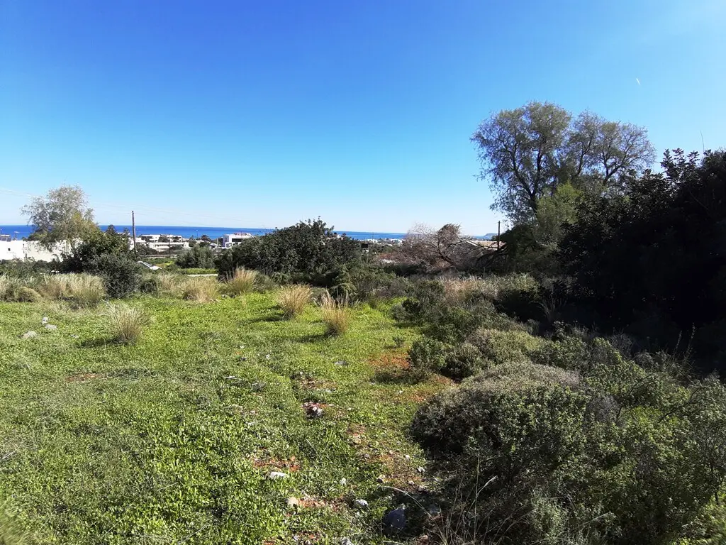 Land In Mallia, Greece