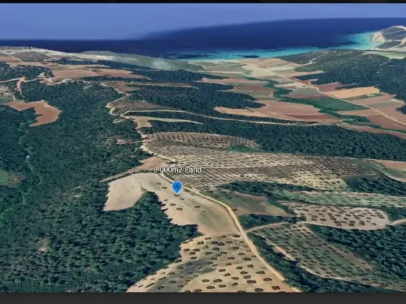 Land In Kassandra, Greece