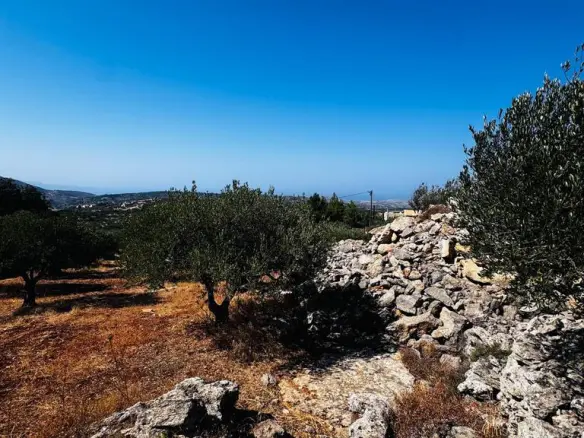 Land In Archanes, Greece