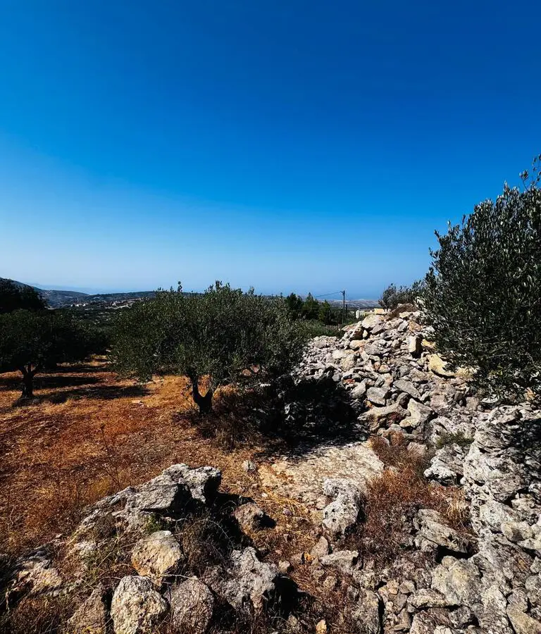 Land In Archanes, Greece