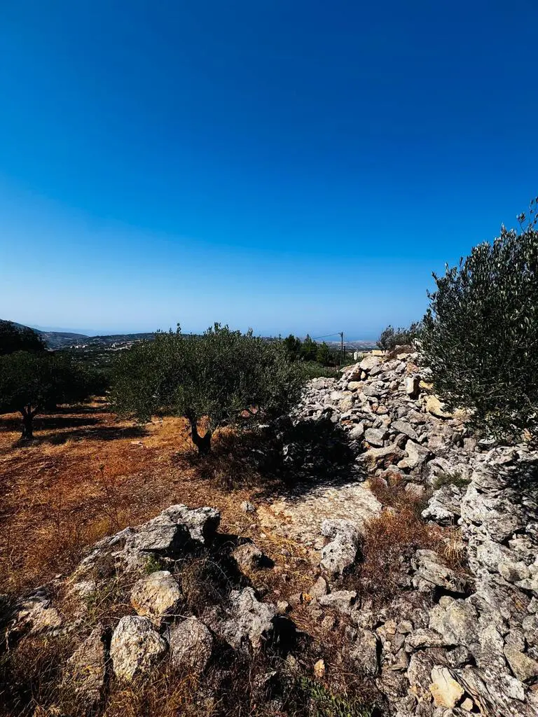 Land In Archanes, Greece