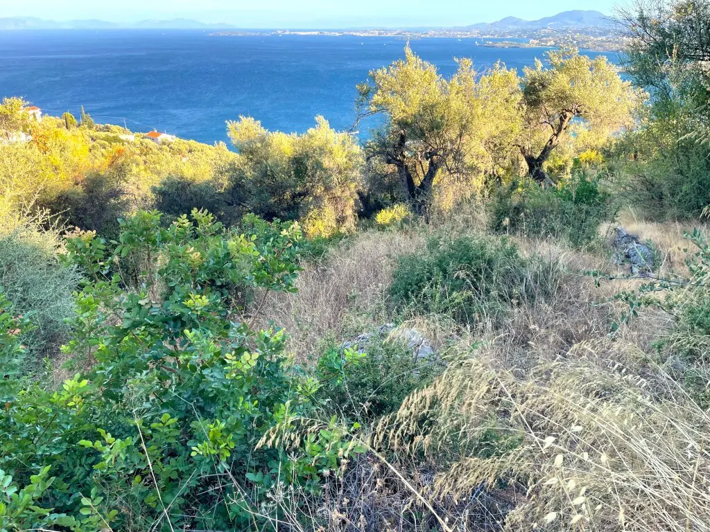 Land In Corfu, Greece