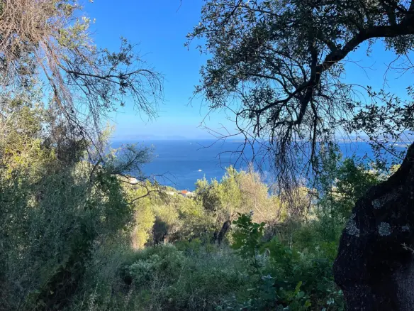 Land In Corfu, Greece