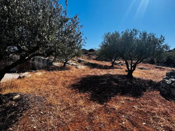 Land In Archanes, Greece