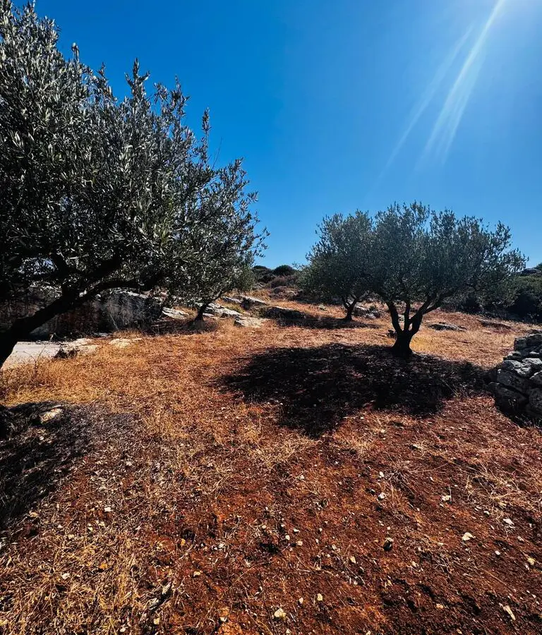 Land In Archanes, Greece
