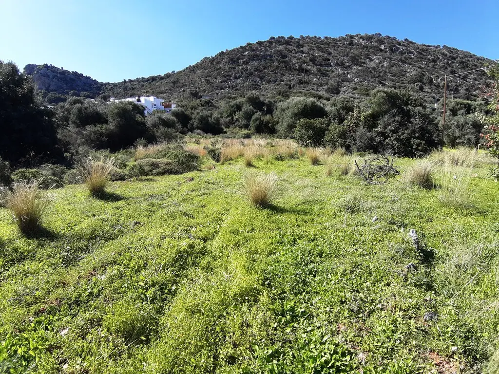 Land In Mallia, Greece