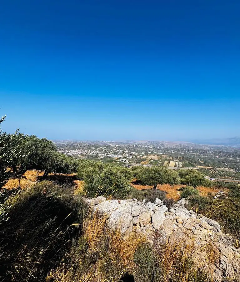 Land In Archanes, Greece