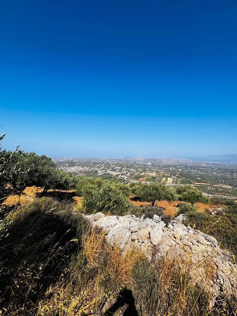 Land In Archanes, Greece