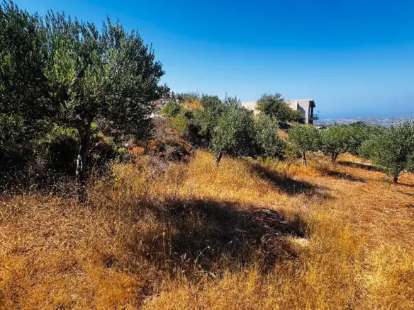 Land In Archanes, Greece