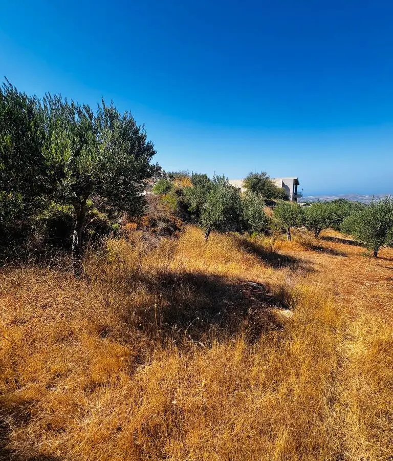 Land In Archanes, Greece