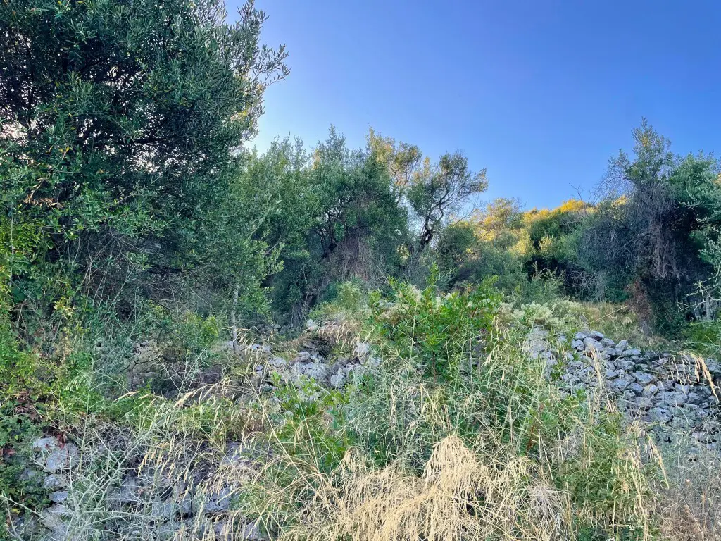 Land In Corfu, Greece