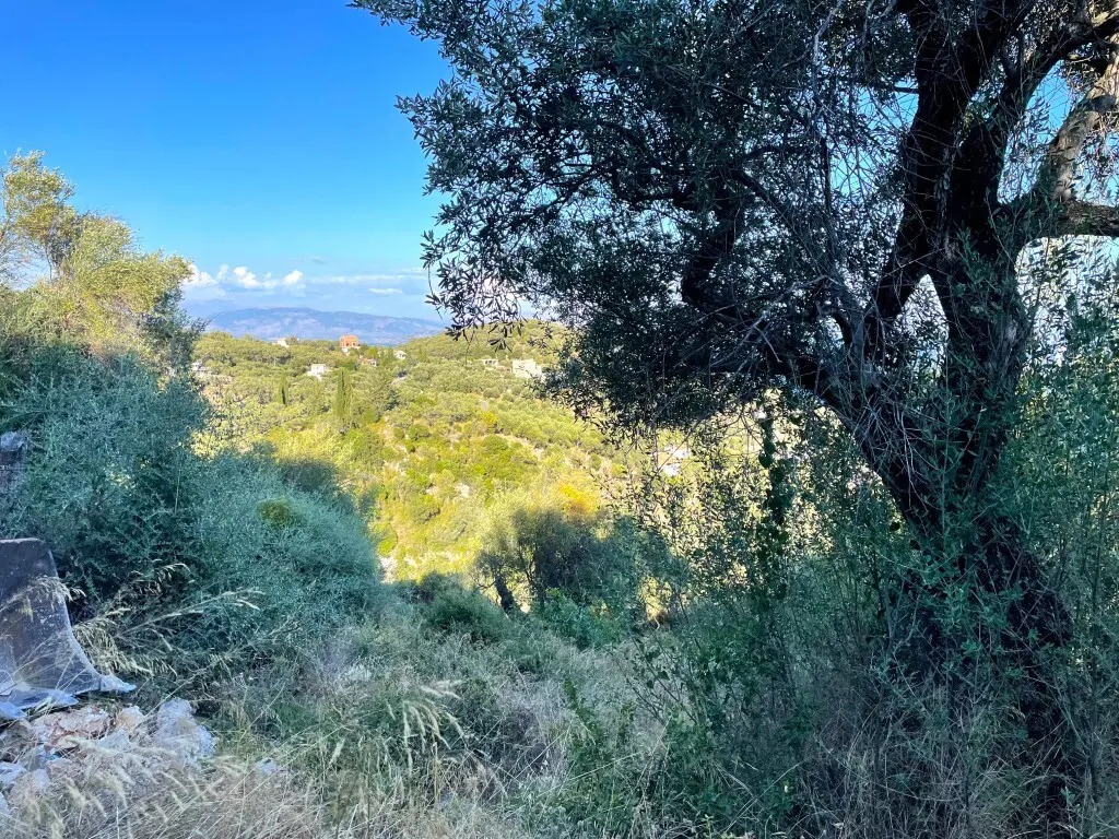 Land In Corfu, Greece