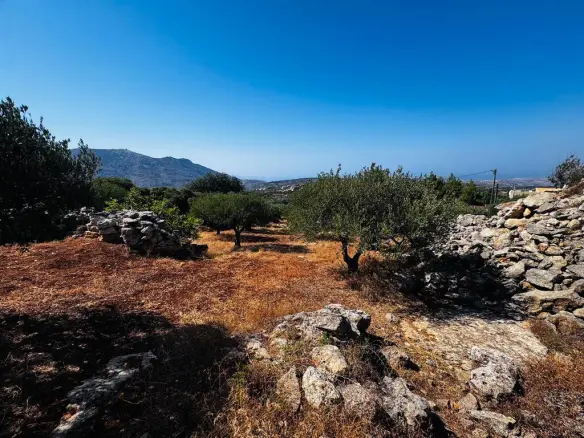 Land In Archanes, Greece