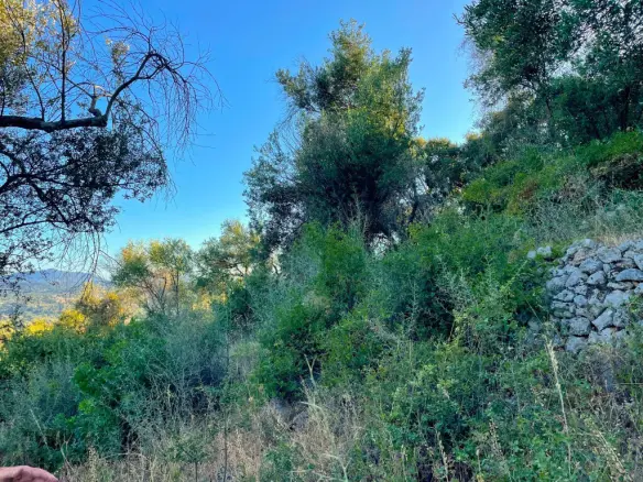 Land In Corfu, Greece