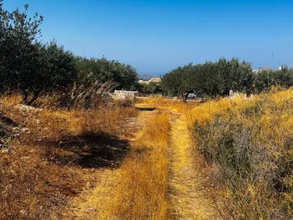Land In Archanes, Greece