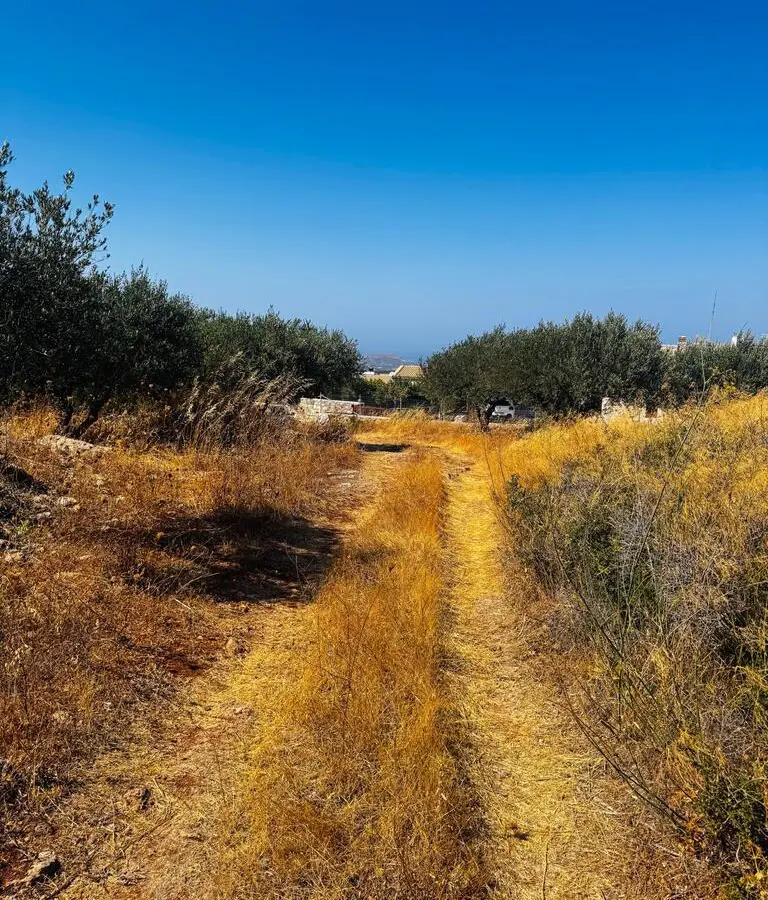 Land In Archanes, Greece