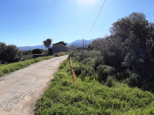 Land In Mallia, Greece