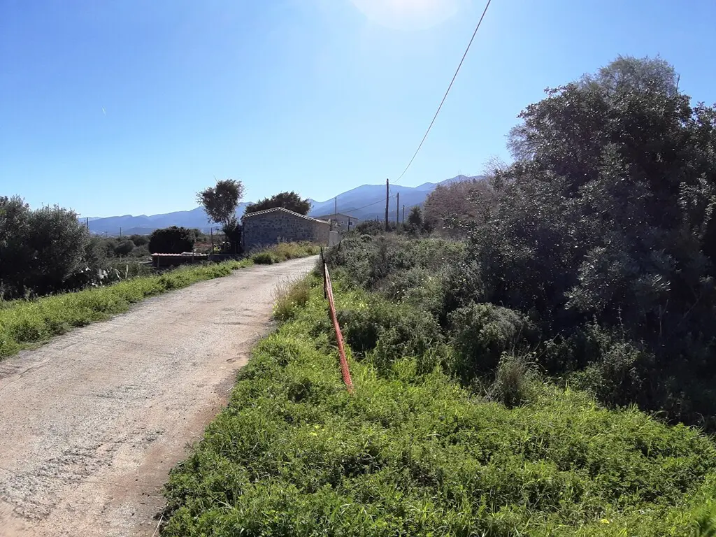 Land In Mallia, Greece