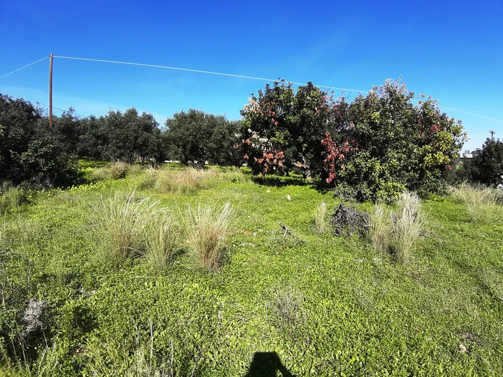 Land In Mallia, Greece