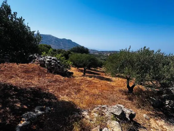 Land In Archanes, Greece
