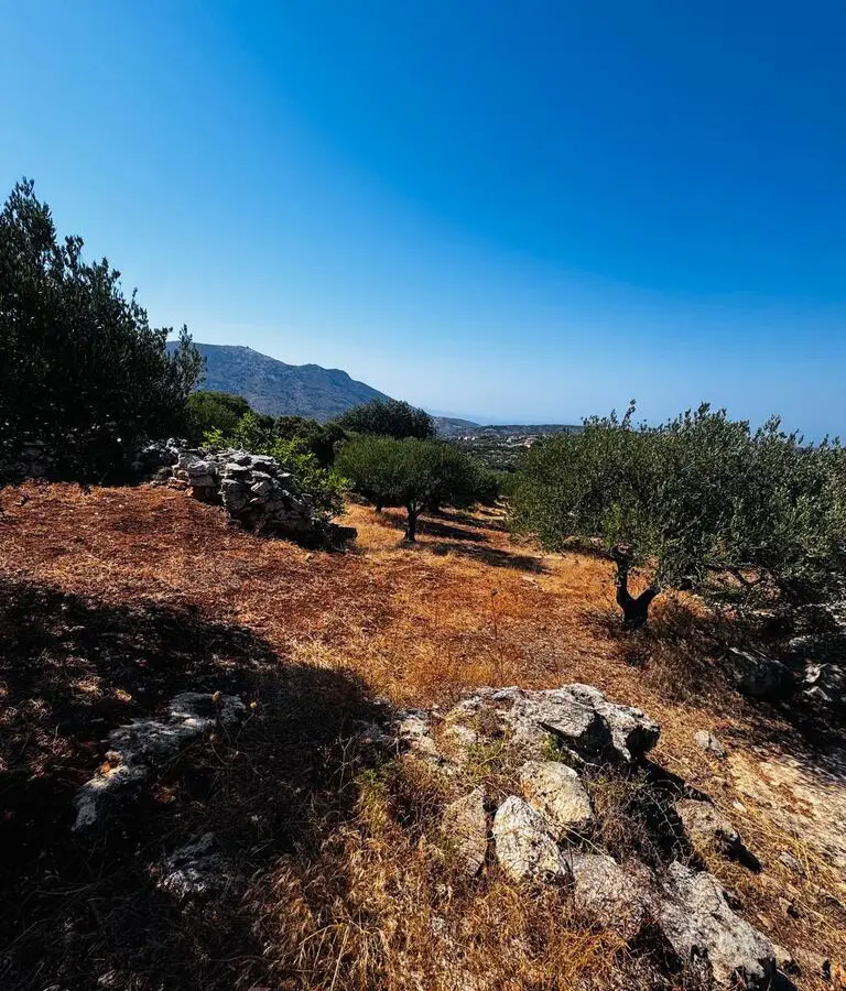 Land In Archanes, Greece