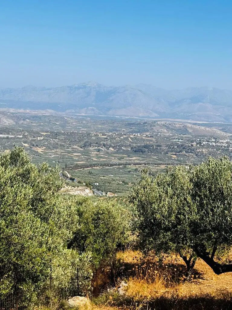 Land In Archanes, Greece