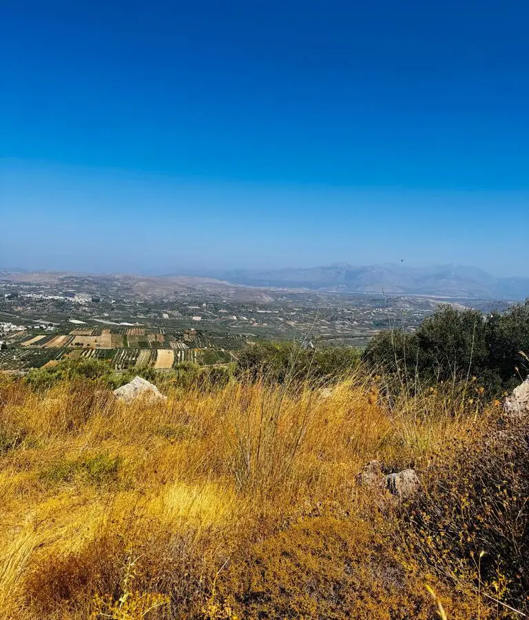 Land In Archanes, Greece