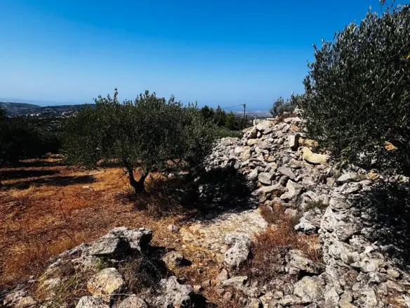 Land In Archanes, Greece