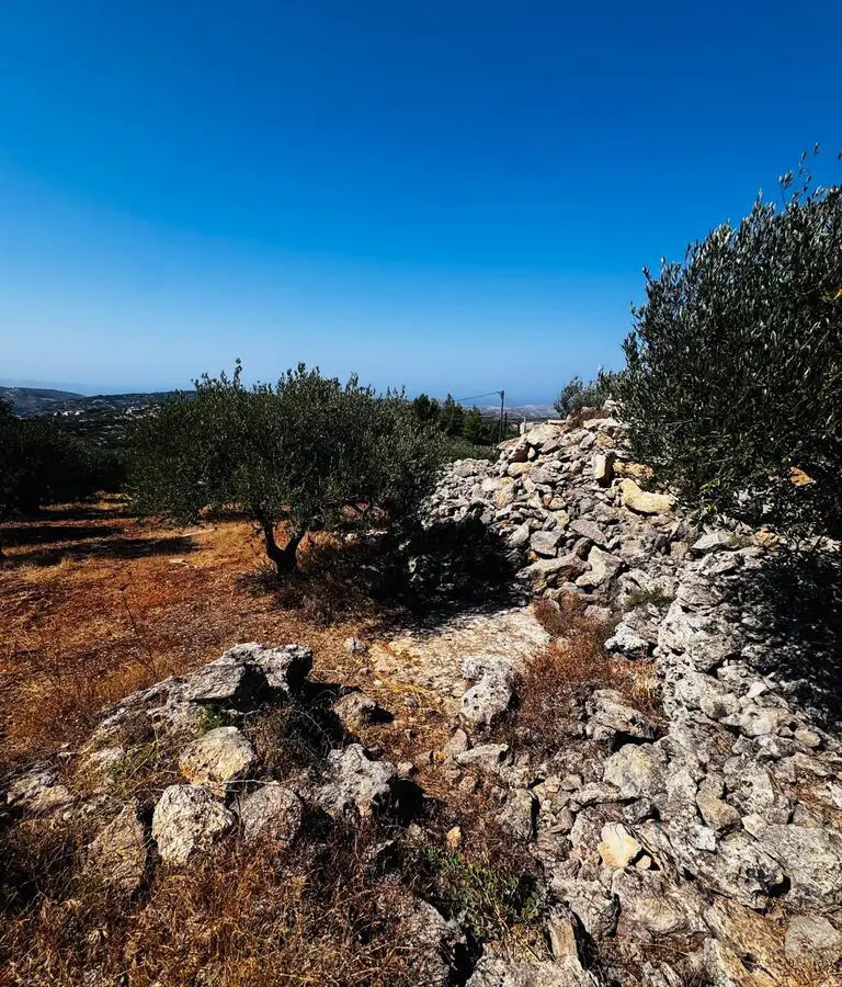 Land In Archanes, Greece