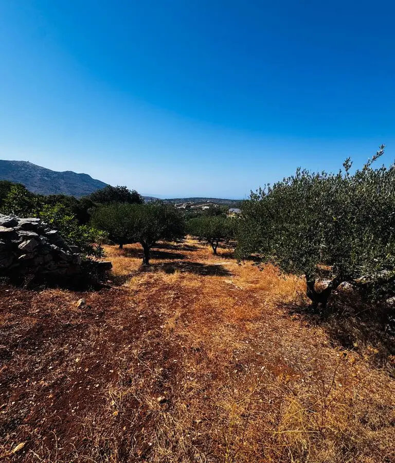 Land In Archanes, Greece