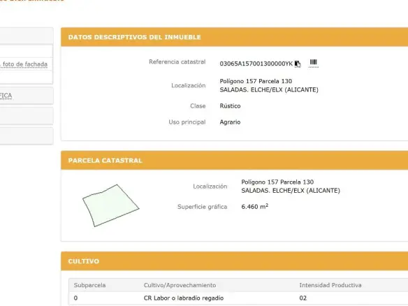 Land In Elche Pedanias, Spain (6.460 M² Plot)