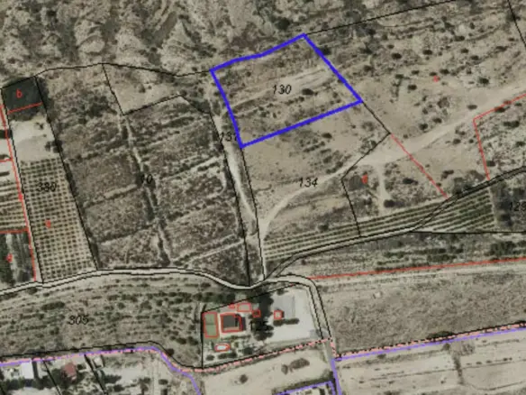 Land In Elche Pedanias, Spain (6.460 M² Plot)