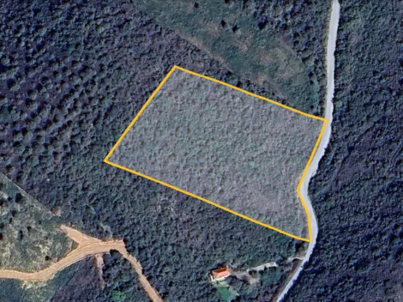 Land Of 11446 M² In Athos, Chalkidiki