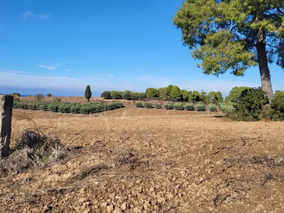 Land Of 13600 M² In Kassandra, Chalkidiki